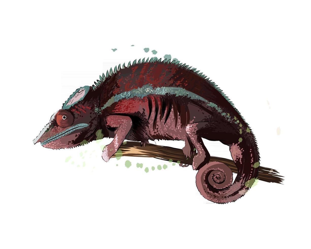 caméléon d'une touche d'aquarelle, dessin coloré, réaliste. illustration vectorielle de peintures vecteur