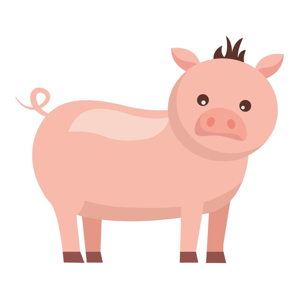 conception de vecteur de cochon mignon ferme isolée