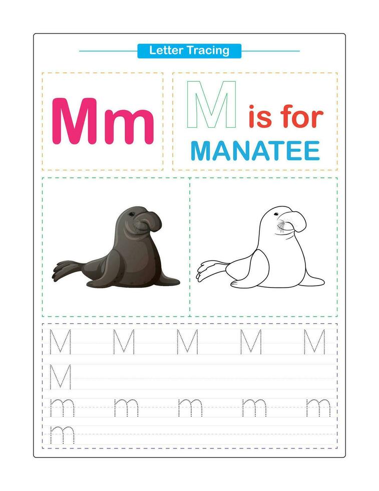 majuscule et minuscule. mignonne les enfants. coloré abc alphabet tracé. entraine toi feuille de travail pour enfants. apprentissage Anglais vocabulaire et écriture. lettre trace. vecteur illustration