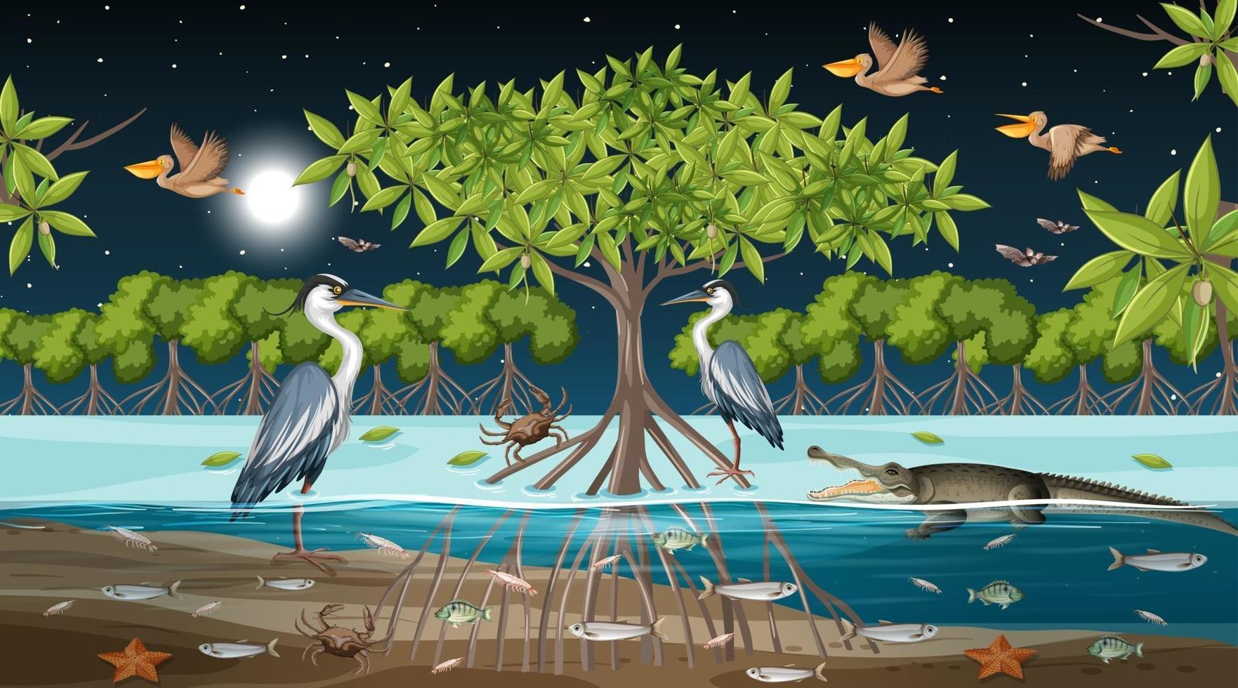 scène de paysage de forêt de mangrove la nuit avec de nombreux animaux différents vecteur