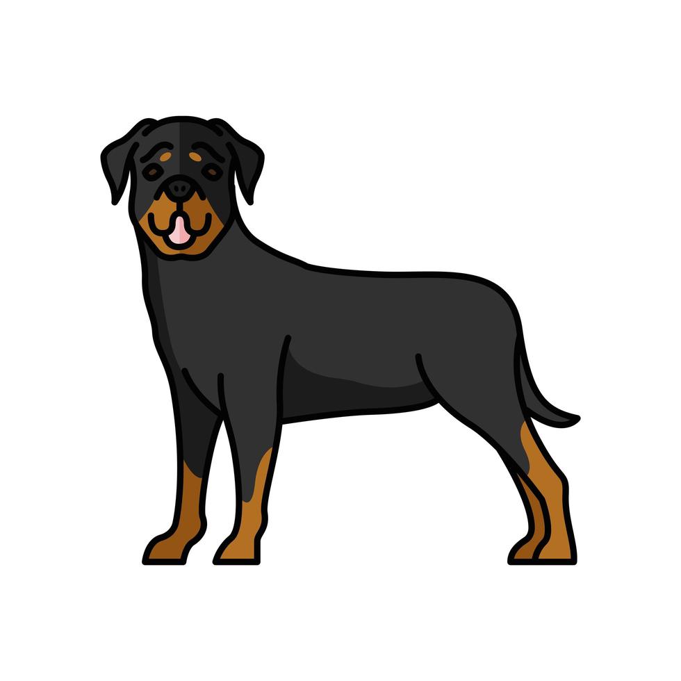 rottweiler chien animal de compagnie mascotte race caractère vecteur