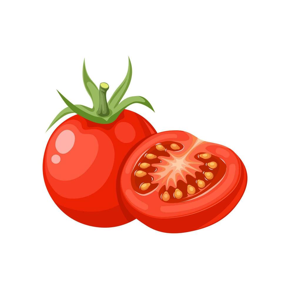 vecteur illustration, entier et réduit de moitié Cerise tomates, isolé sur blanc Contexte.