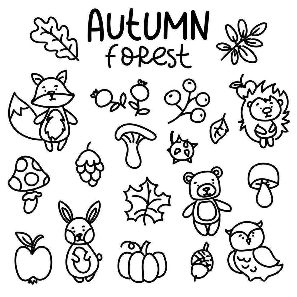 une ensemble de griffonnage l'automne forêt animaux et objets. légumes, des fruits, l'automne feuilles, forêt animaux dans linéaire style sur une blanc Contexte. mignonne l'automne. vecteur illustration