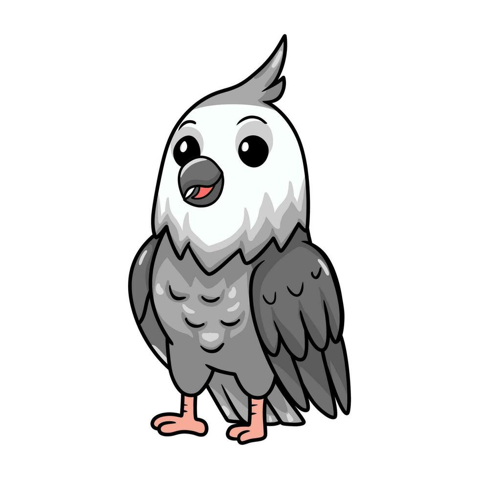 mignonne visage blanc calopsitte oiseau dessin animé vecteur