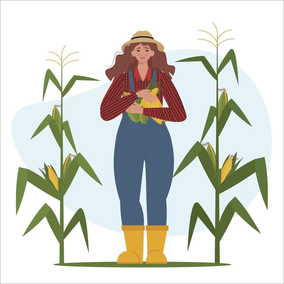 agricultrice avec des épis de maïs dans les mains. illustration vectorielle dans un style plat vecteur