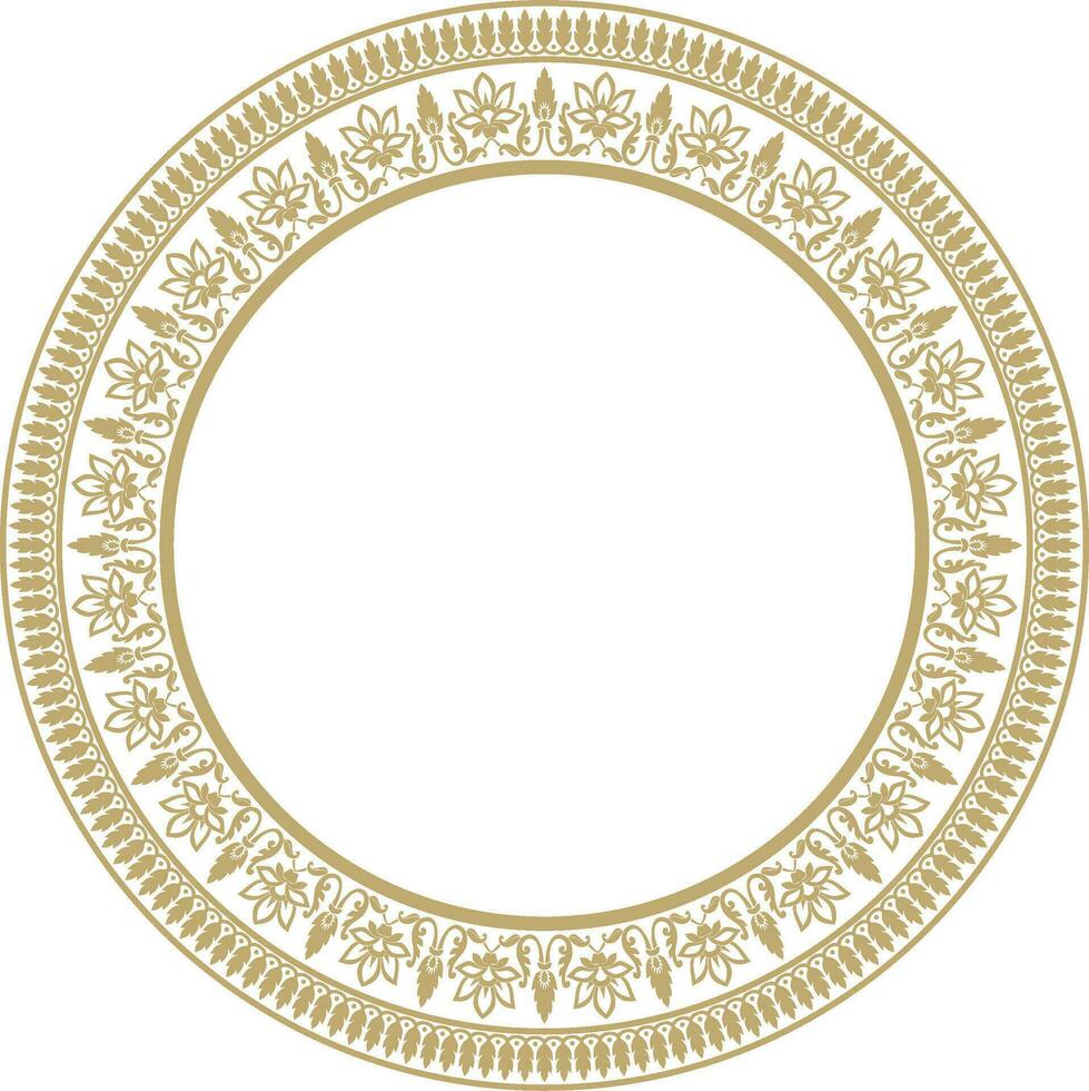 vecteur rond d'or Indien nationale ornement. ethnique plante cercle, frontière. cadre, fleur anneau. coquelicots et feuilles
