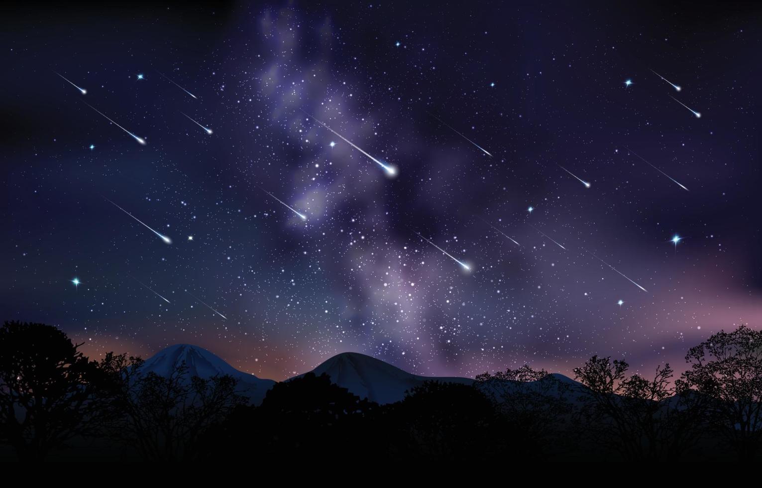 pluie de météorites dans le ciel nocturne vecteur