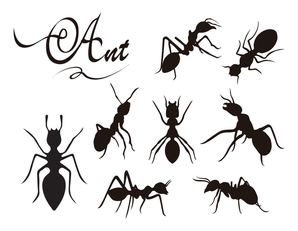 vecteur fourmi silhouette sur blanc Contexte