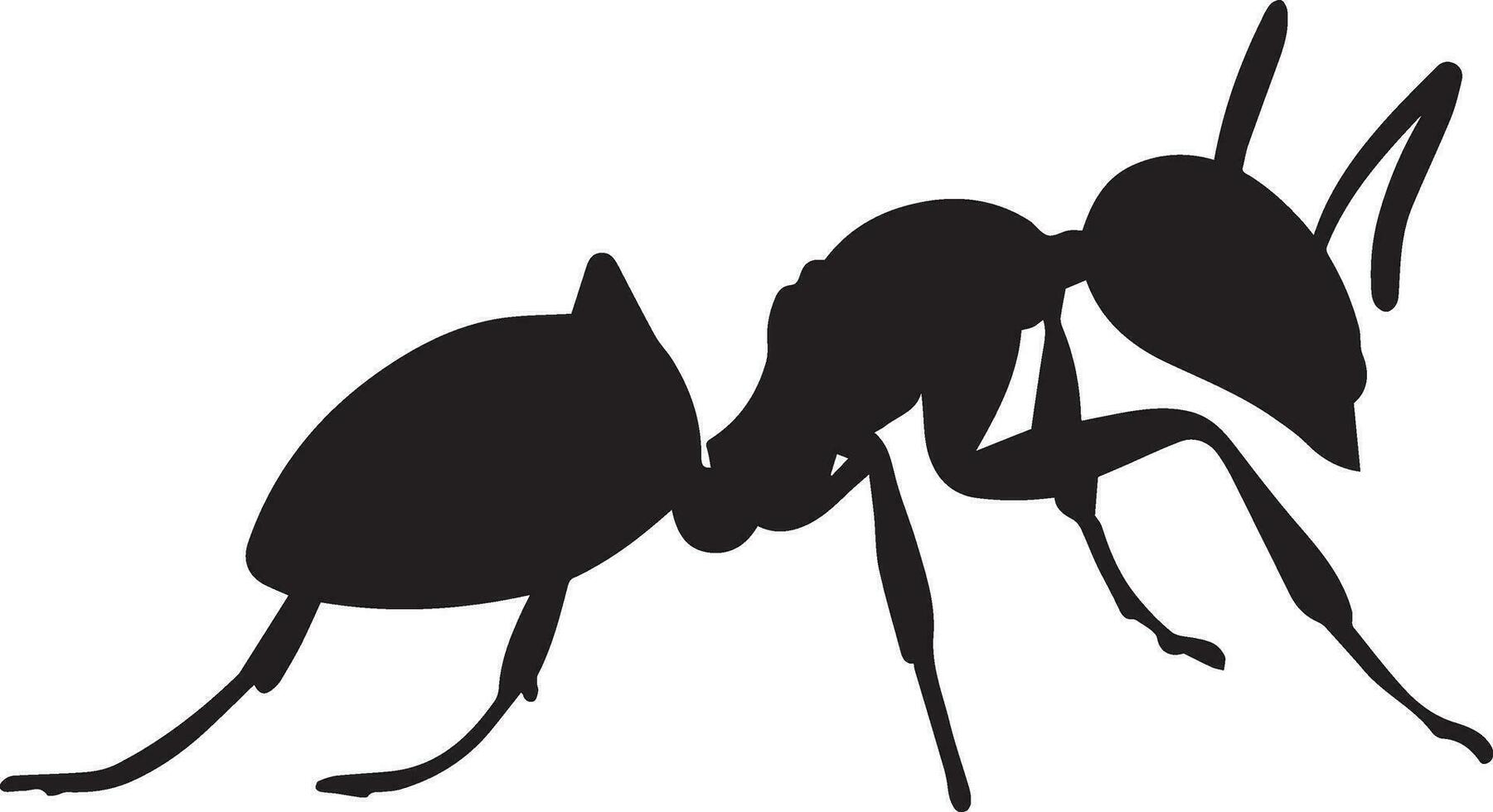 fourmi vecteur silhouette illustration noir Couleur
