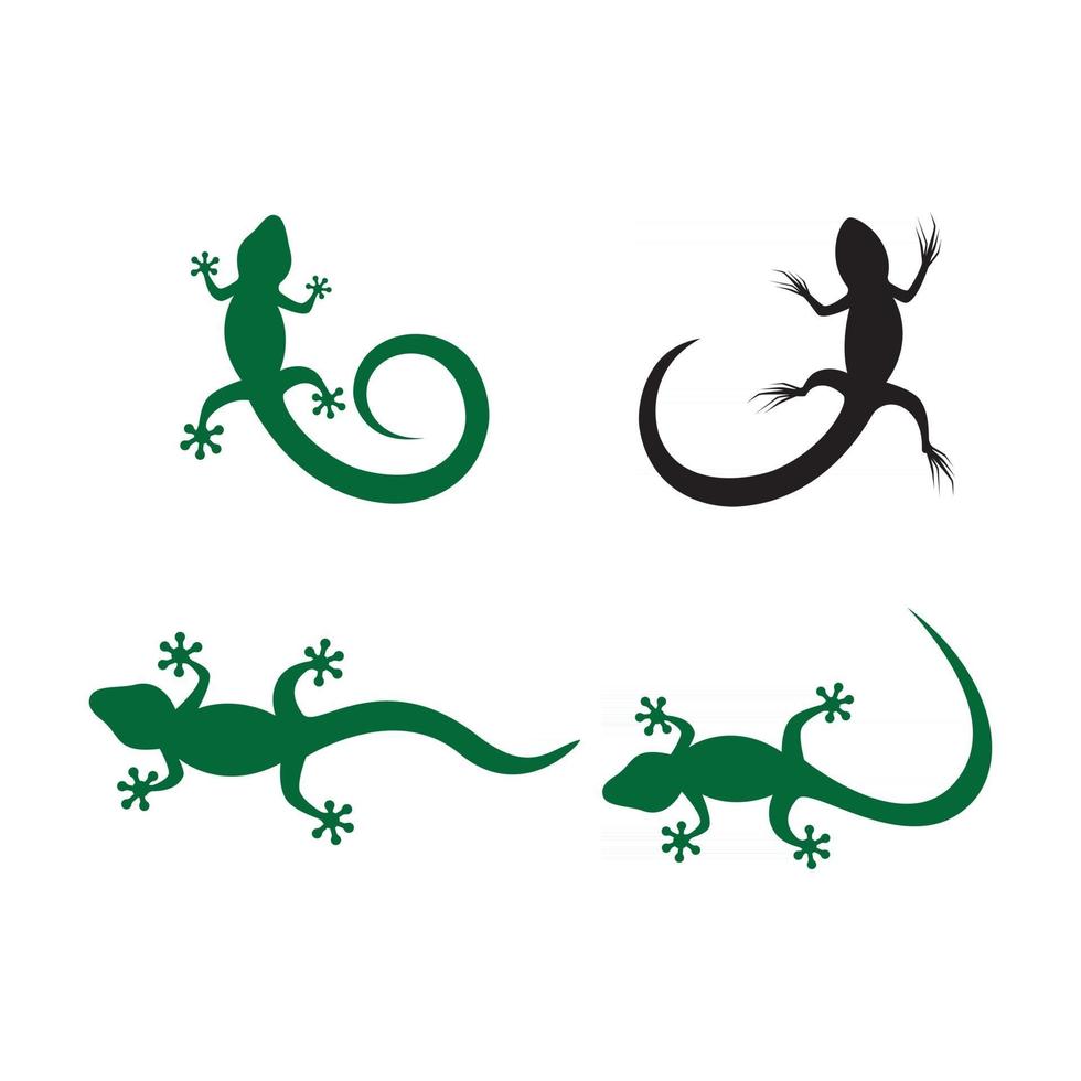 illustration d'images logo caméléon vecteur