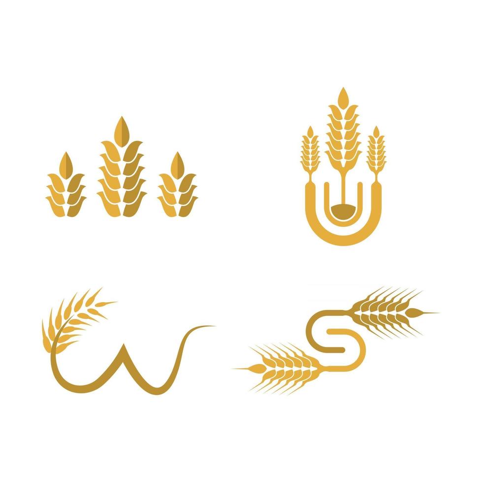 images de logo de blé vecteur