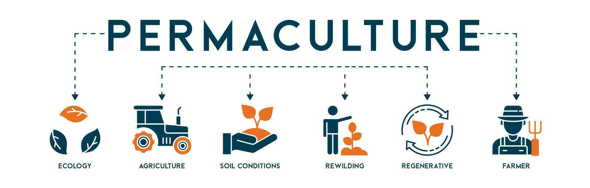 permaculture concept modifiable bannière la toile illustration pour les écosystèmes et terre la gestion avec écologie, agriculture, sol conditions, réensauvagement, régénérateur, et agriculteur Icônes vecteur