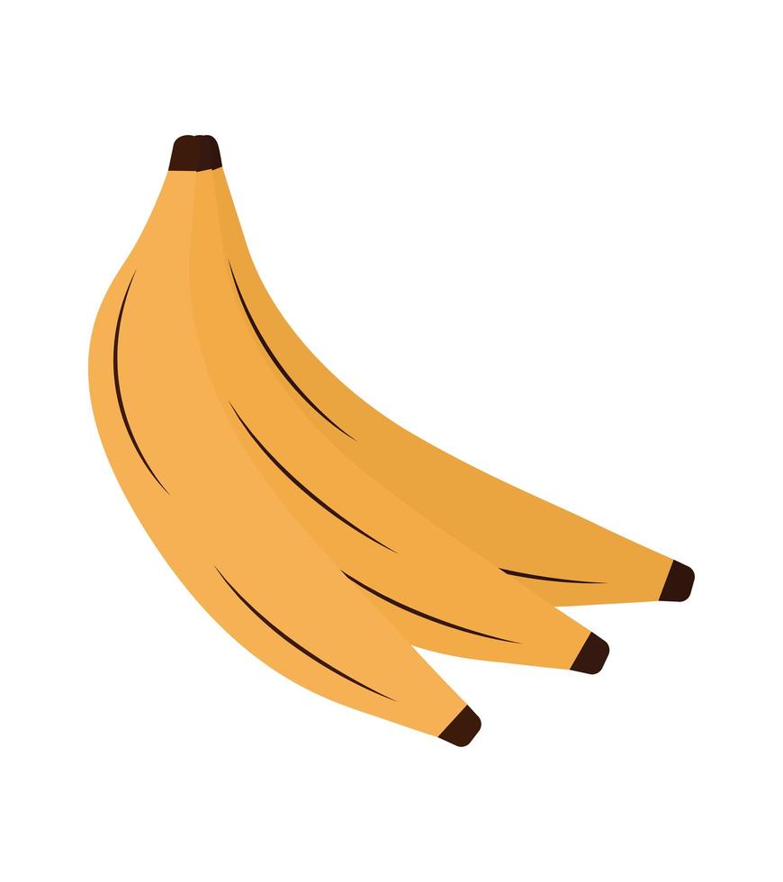 fruits frais bananes vecteur