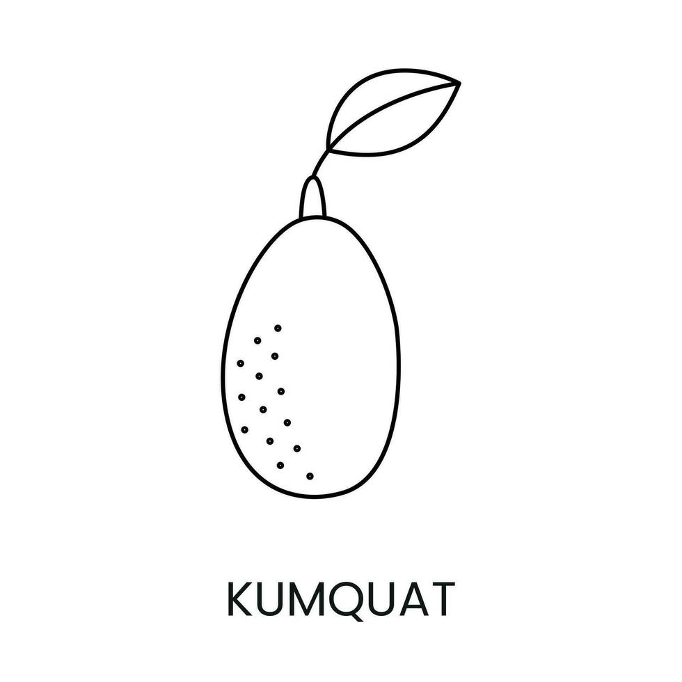 agrumes fruit kumquat, ligne icône dans vecteur à indiquer sur nourriture emballage à propos le présence de cette allergène.