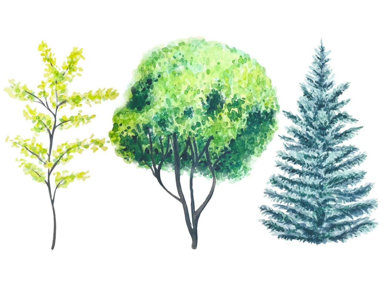 illustration de une des arbres main peint dans aquarelle vecteur