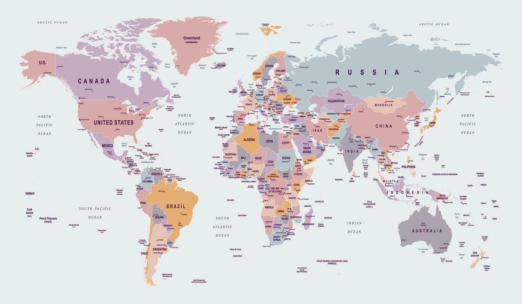 politique monde carte fiel stéréographique projection vecteur