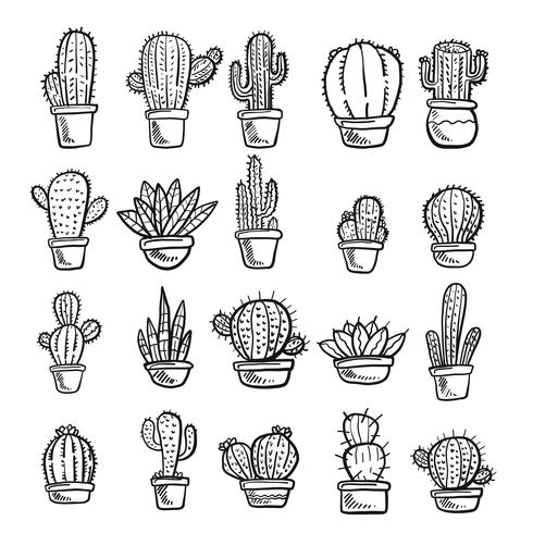 Vecteur de cactus et de succulentes. Illustration de Doodle Set.