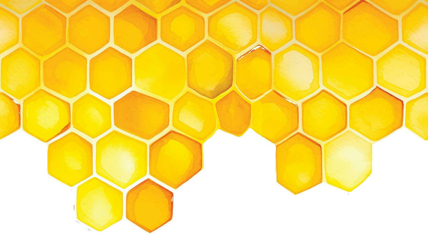 fond transparent, bordure en nid d'abeille. dessin à la main aquarelle en nid d'abeille jaune. isolé sur fond blanc. modèle de conception, bannière, place pour une inscription. mignon dessin agriculture, abeille vecteur