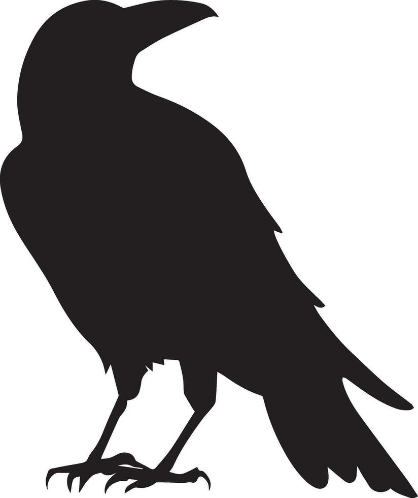 corbeau vecteur silhouette illustration noir Couleur