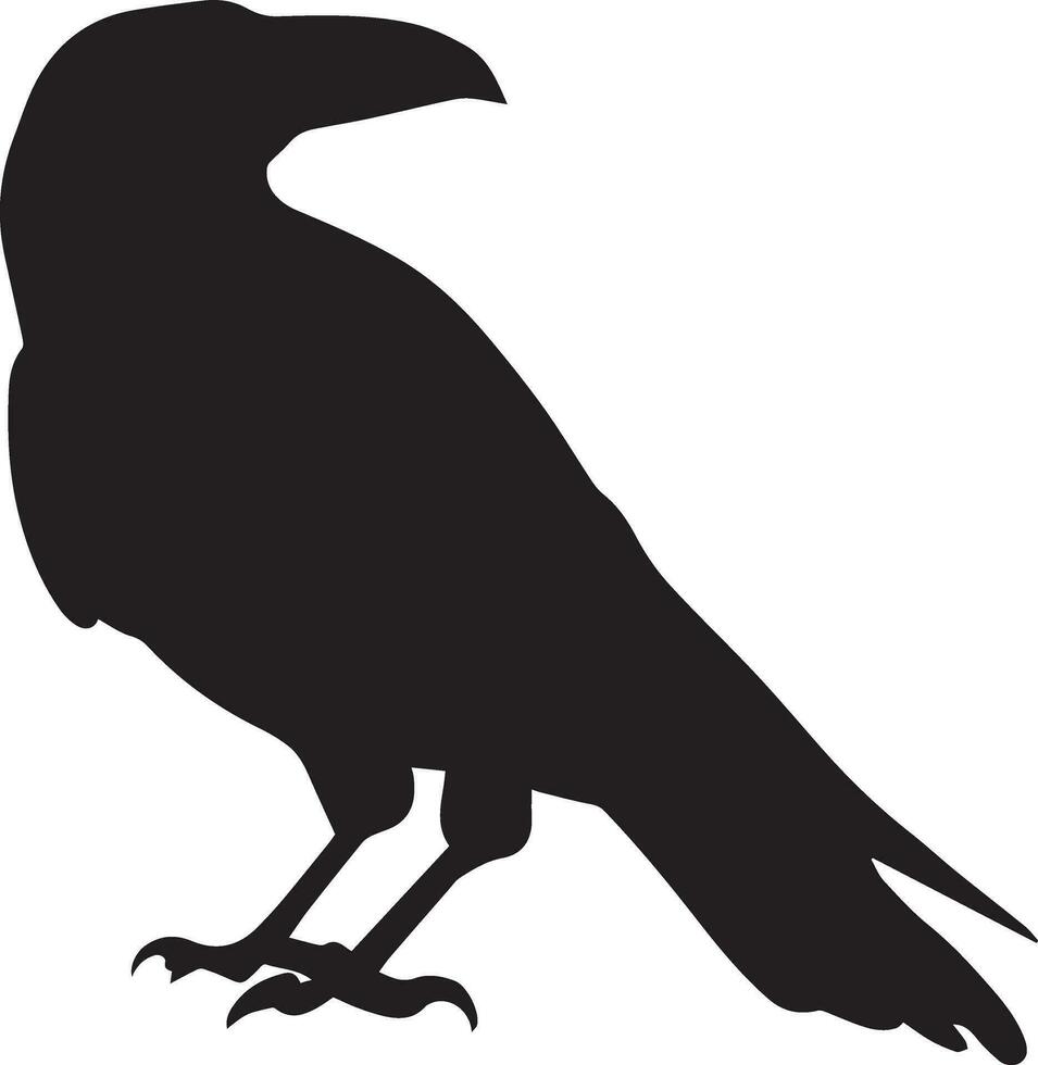 corbeau vecteur silhouette illustration noir Couleur