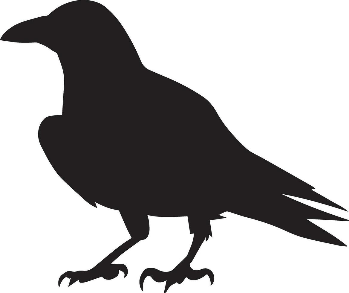 corbeau vecteur silhouette illustration noir Couleur