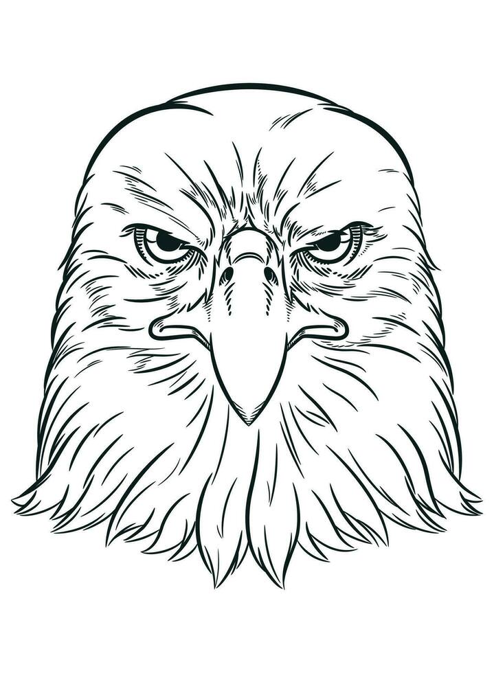 esquisser américain Aigle prédateur oiseau visage vecteur