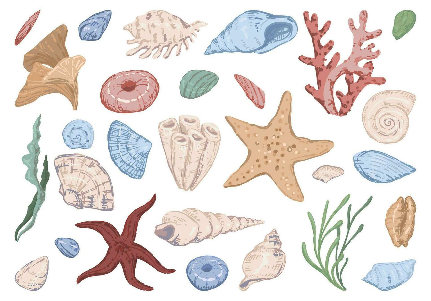 étoile de mer, coquille, des pierres, algue, corail. ensemble de plat vecteur illustrations. collection de sous-marin la vie agrafe les arts isolé sur blanche.