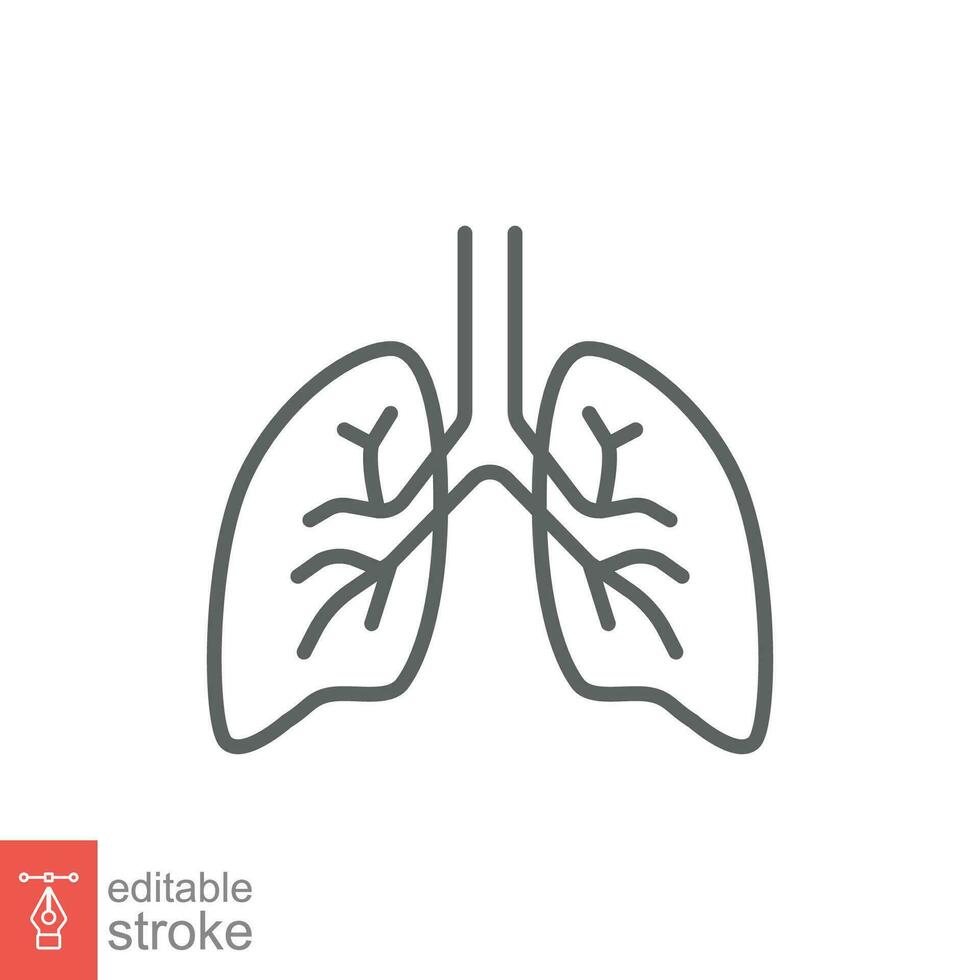 poumons icône. Facile contour style. Humain interne organe, poumon, respiratoire système, pneumologie concept. mince ligne symbole. vecteur illustration isolé sur blanc Contexte. modifiable accident vasculaire cérébral eps dix.