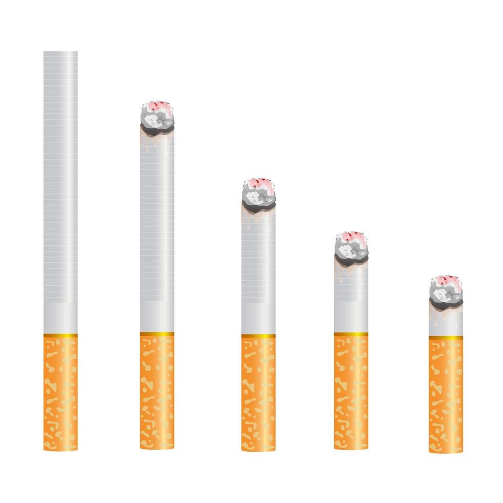 conception réaliste de 5 tailles différentes de cigarettes. brûlant et pas brûlant d'illustration vectorielle de style design 3d isolée sur fond blanc. vecteur