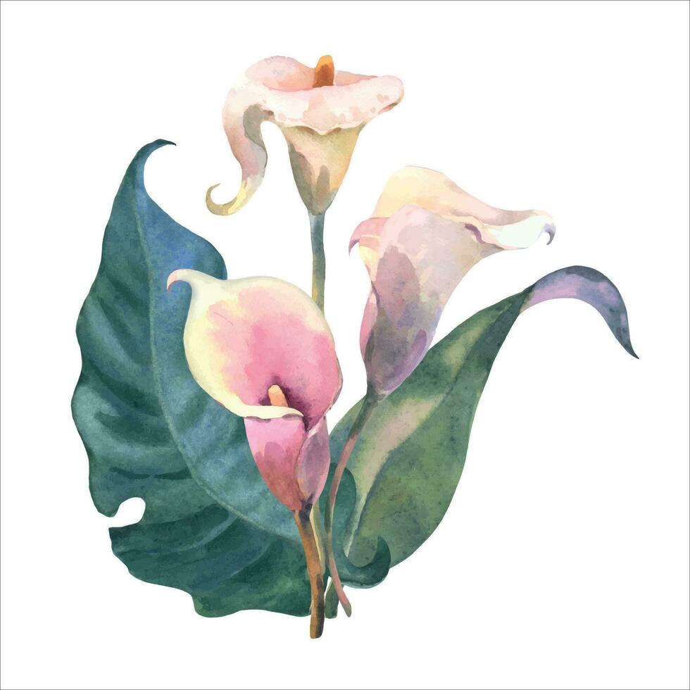 bouquet de calla. tropical fleurs et feuilles aquarelle peinture. botanique illustration. conception élément pour scrapbooking, faire-part, salutation carte, mariages, anniversaires vecteur