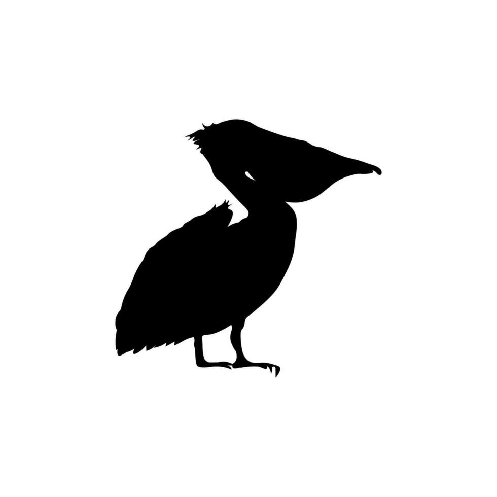 noir pélican vecteur illustration