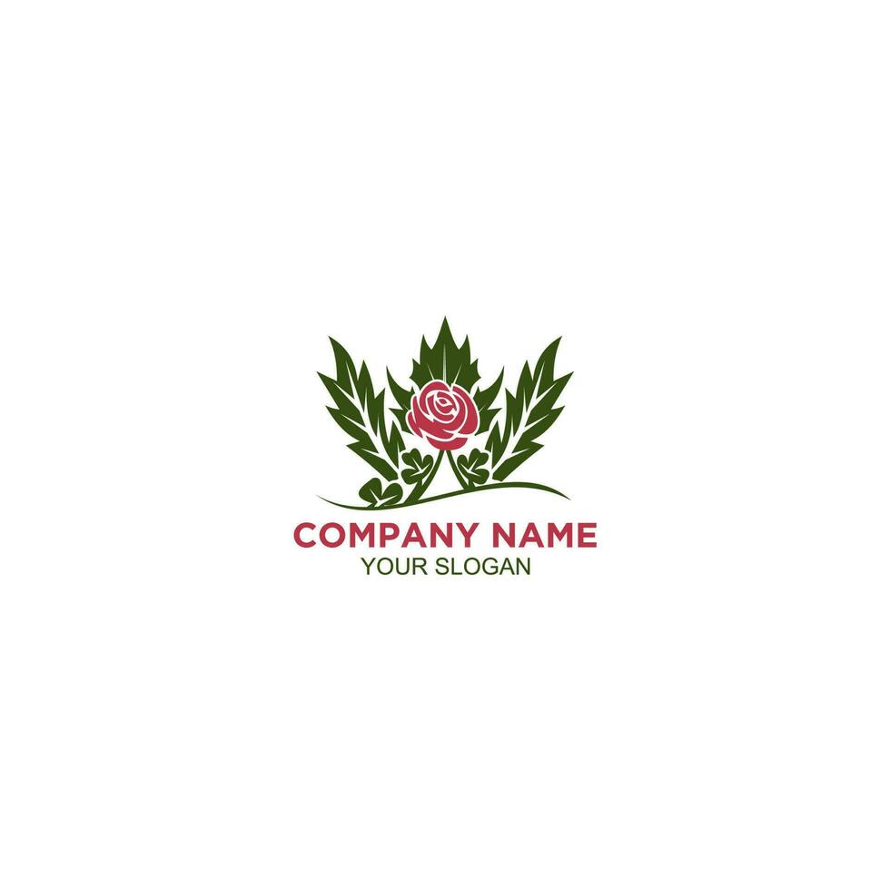 Rose trèfle et chardon logo conception vecteur