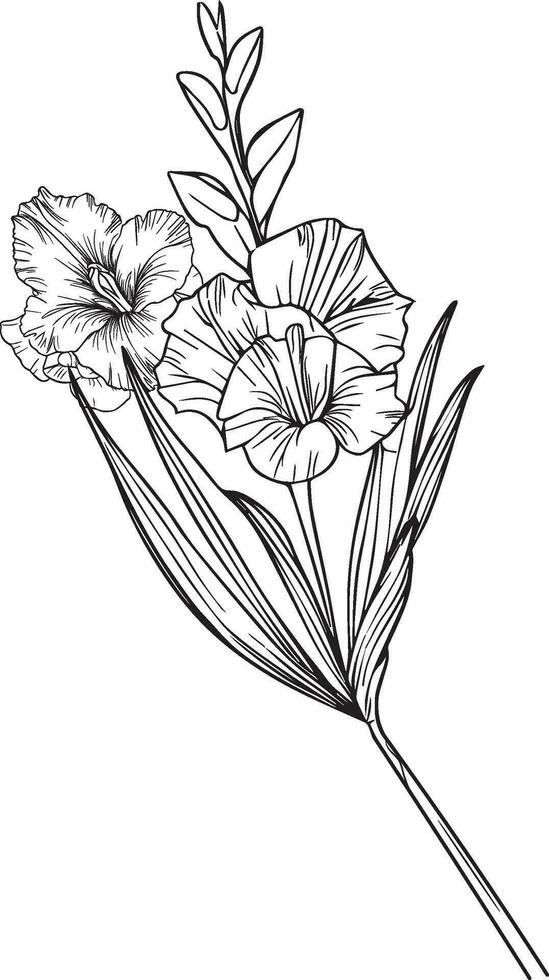 août naissance fleur glaïeul, glaïeul tatouage noir et blanc vecteur esquisser illustration de floral ornement bouquet de glaïeul francisca simplicité embellissement, zentangle conception élément pour carte