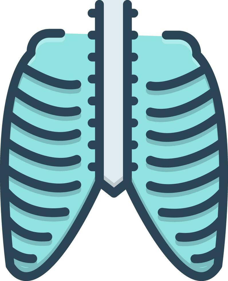 Couleur icône pour thorax vecteur