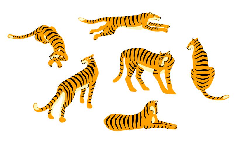 Ensemble Vestor de tigres mignons. Illustration à la mode. vecteur