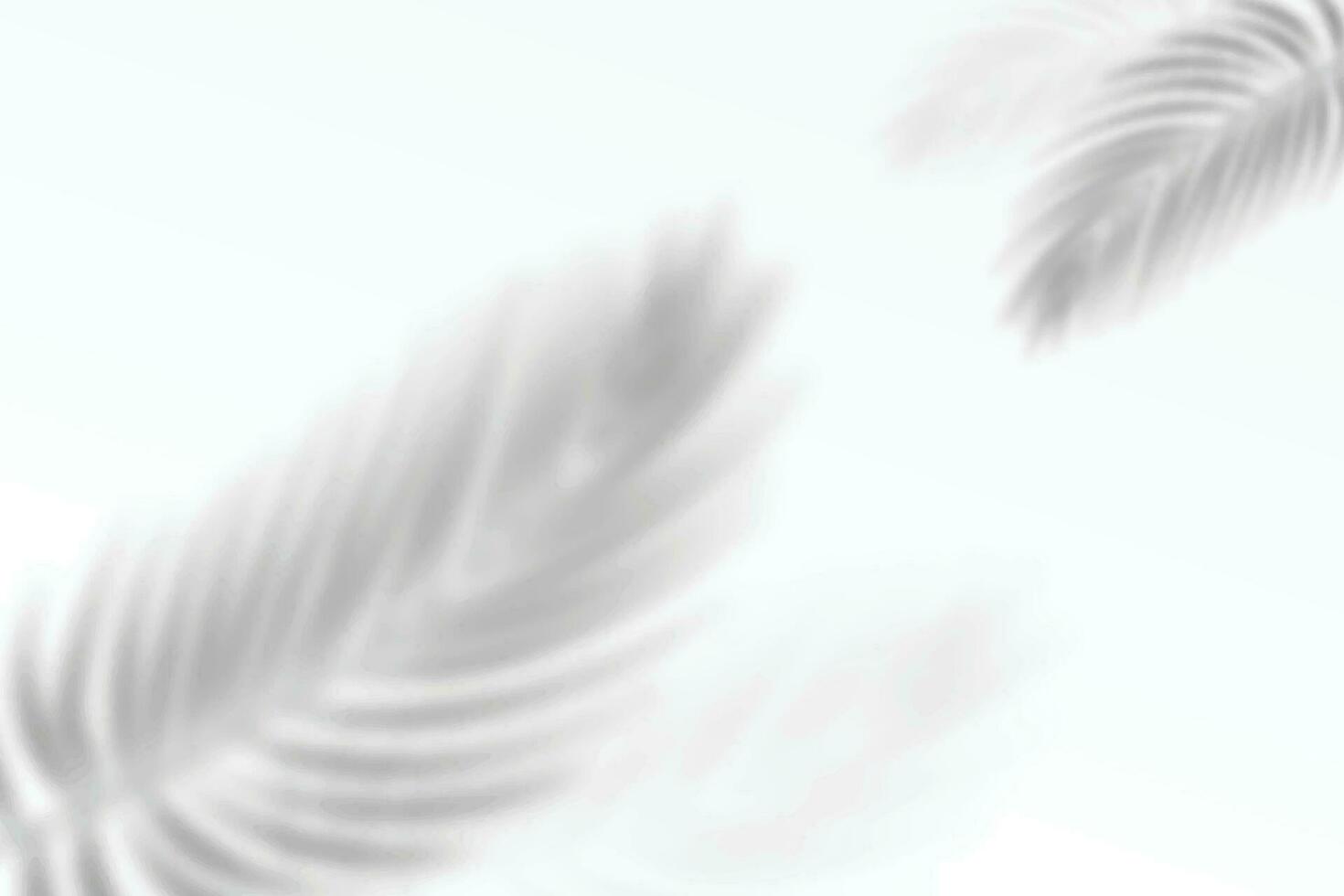 réaliste transparent ombre de une feuille de une paume arbre sur le blanc Contexte. tropical feuilles ombre. maquette avec paume feuilles ombre. vecteur illustration eps10