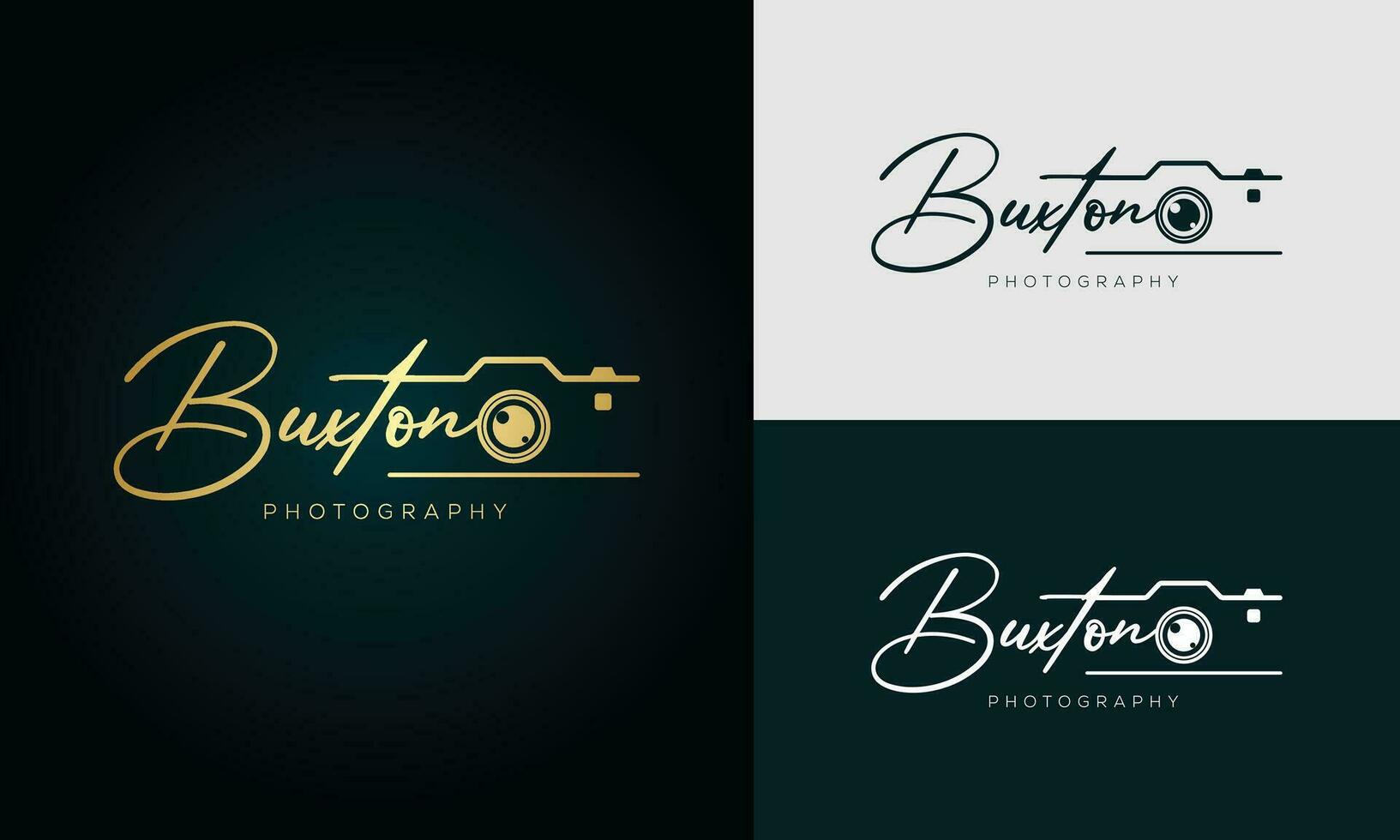 buxton la photographie logo modèle vecteur. Signature logo concept vecteur