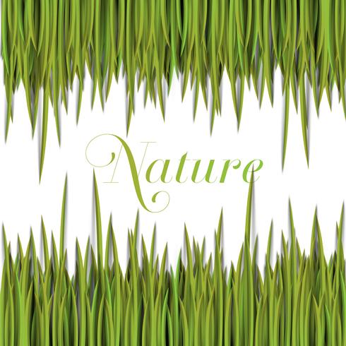 Modèle vert naturel avec de l'herbe de vecteur. vecteur