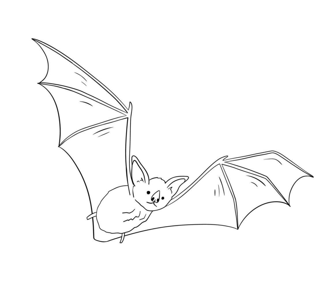ligne dessin de mignonne en volant chauve souris. nocturne mammifère animal mascotte pour Halloween. contour vecteur illustration