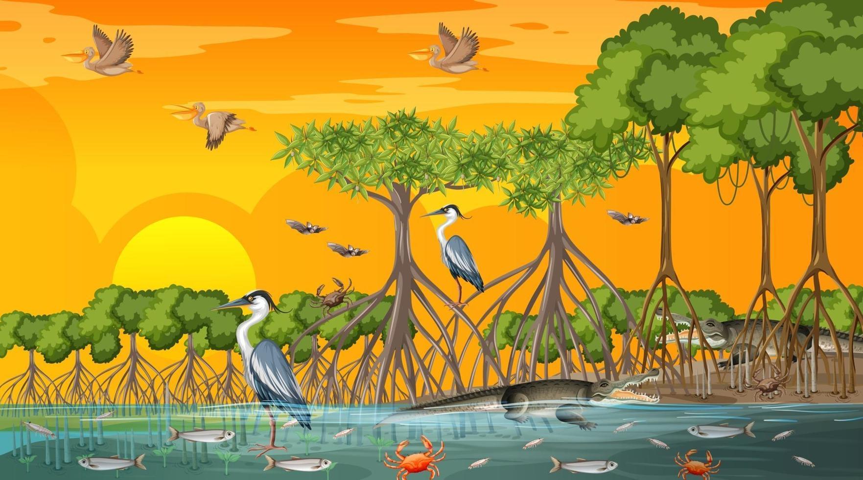 scène de paysage de forêt de mangrove au coucher du soleil avec de nombreux animaux différents vecteur