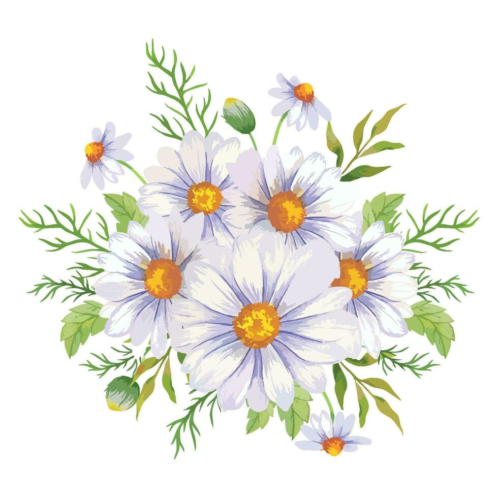 Marguerite aquarelle illustration. camomille bouquet vecteur