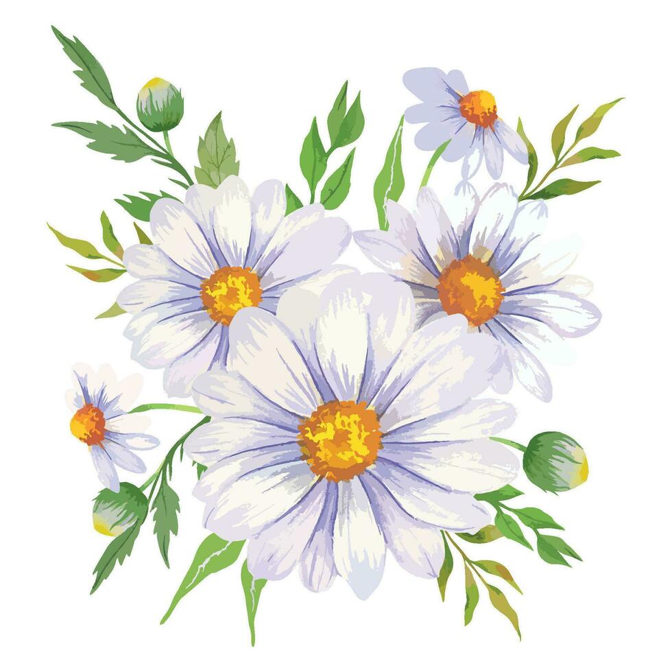 Marguerite aquarelle illustration. camomille bouquet vecteur