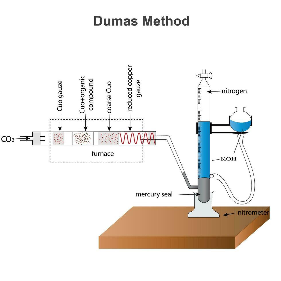 dumas méthode, quantitatif détermination de azote dans chimique substances décrit par dumas dans 1826. vecteur