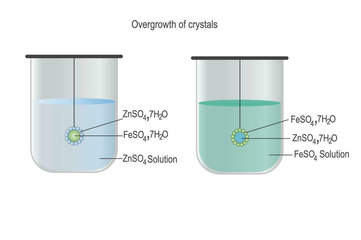 prolifération de cristaux de isomorphe substances, croissance de cristal de un substance dans le saturé Solution de autre isomorphe substance. vecteur