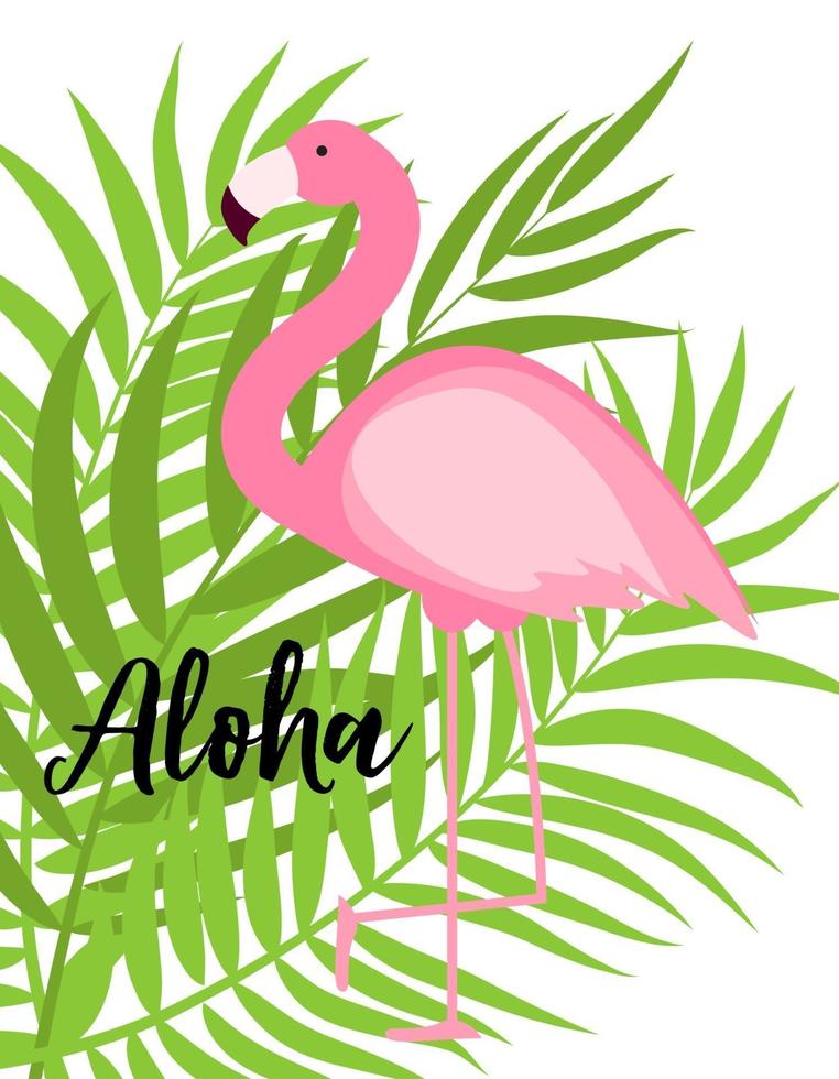 illustration vectorielle mignon flamant rose été fond vecteur