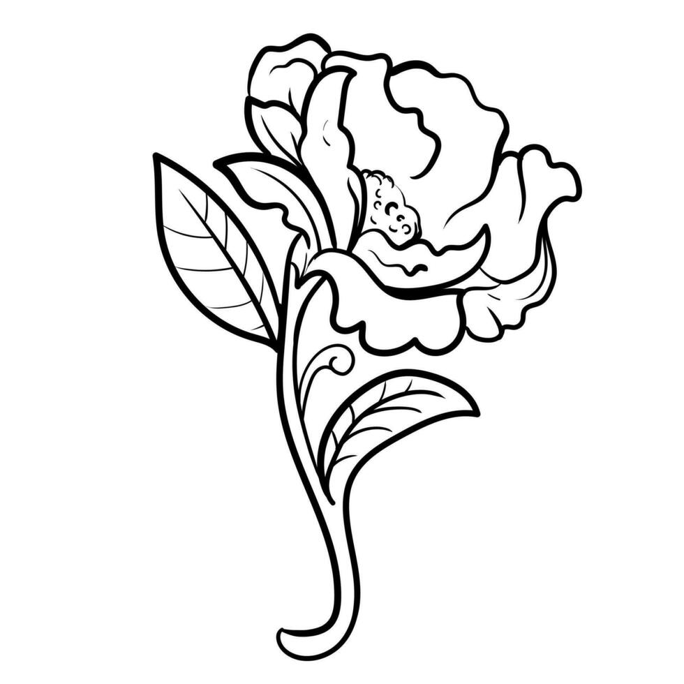 contour main tiré décoratif floral branche et minimaliste feuilles pour logo ou tatouage. main tiré ligne mariage herbe, élégant fleurs sauvages. minimal ligne art dessin pour imprimer, couverture ou fond d'écran vecteur