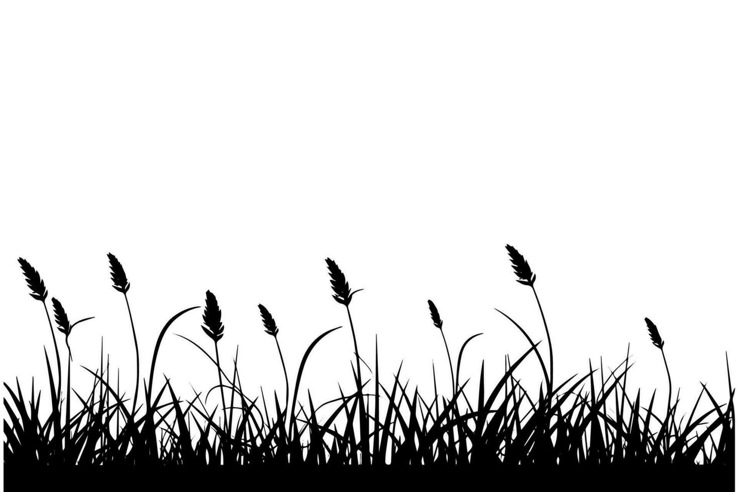 abstrait Contexte avec noir silhouettes de Prairie sauvage herbes et fleurs. vecteur illustration.