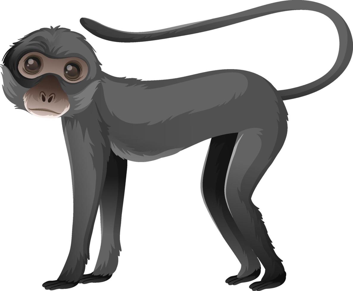 personnage de dessin animé animal de singe araignée sur fond blanc vecteur