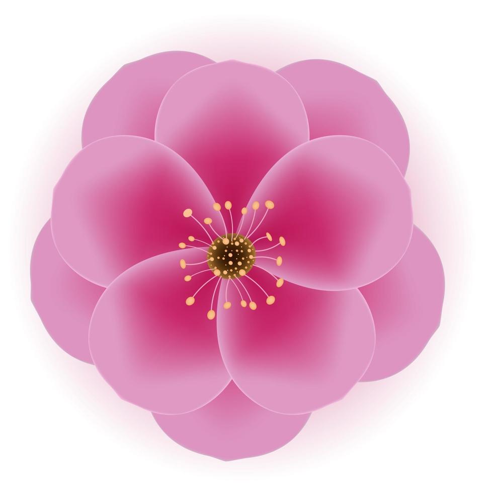 icône de fleur de prunier 3d réaliste. illustration vectorielle eps10 vecteur