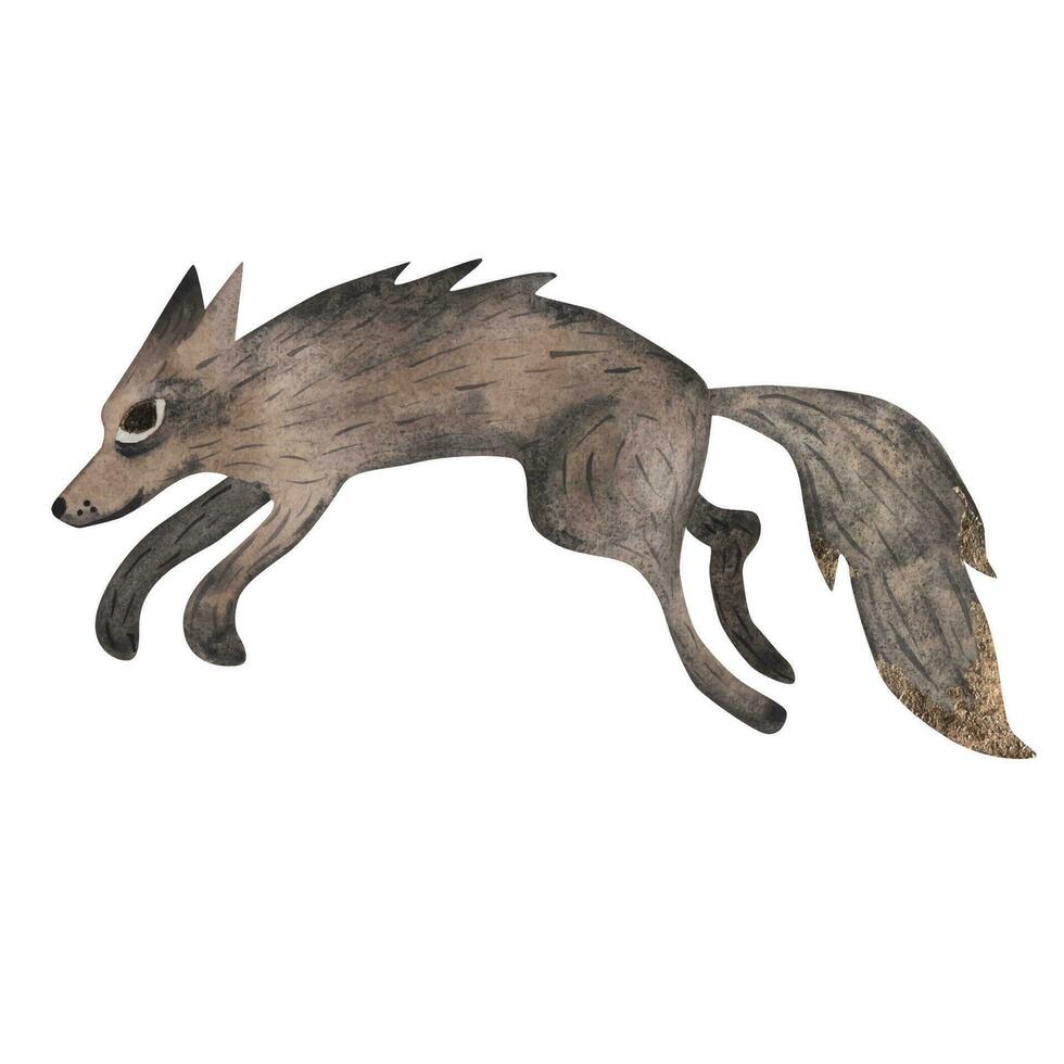 gris loup. aquarelle illustration. vecteur